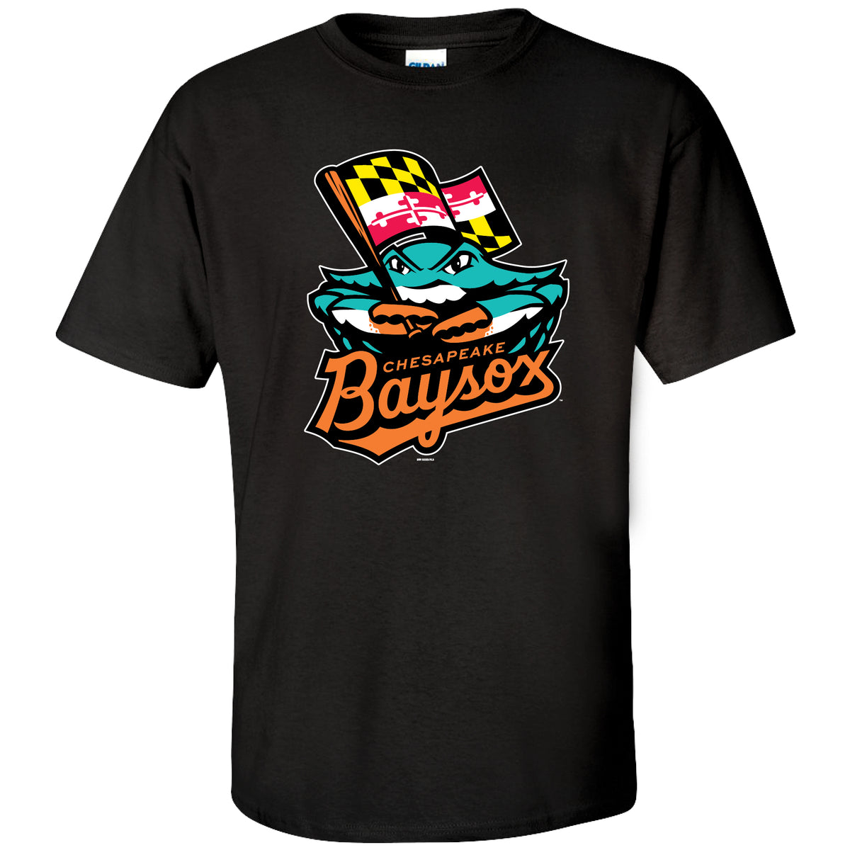 CBAYSOX-