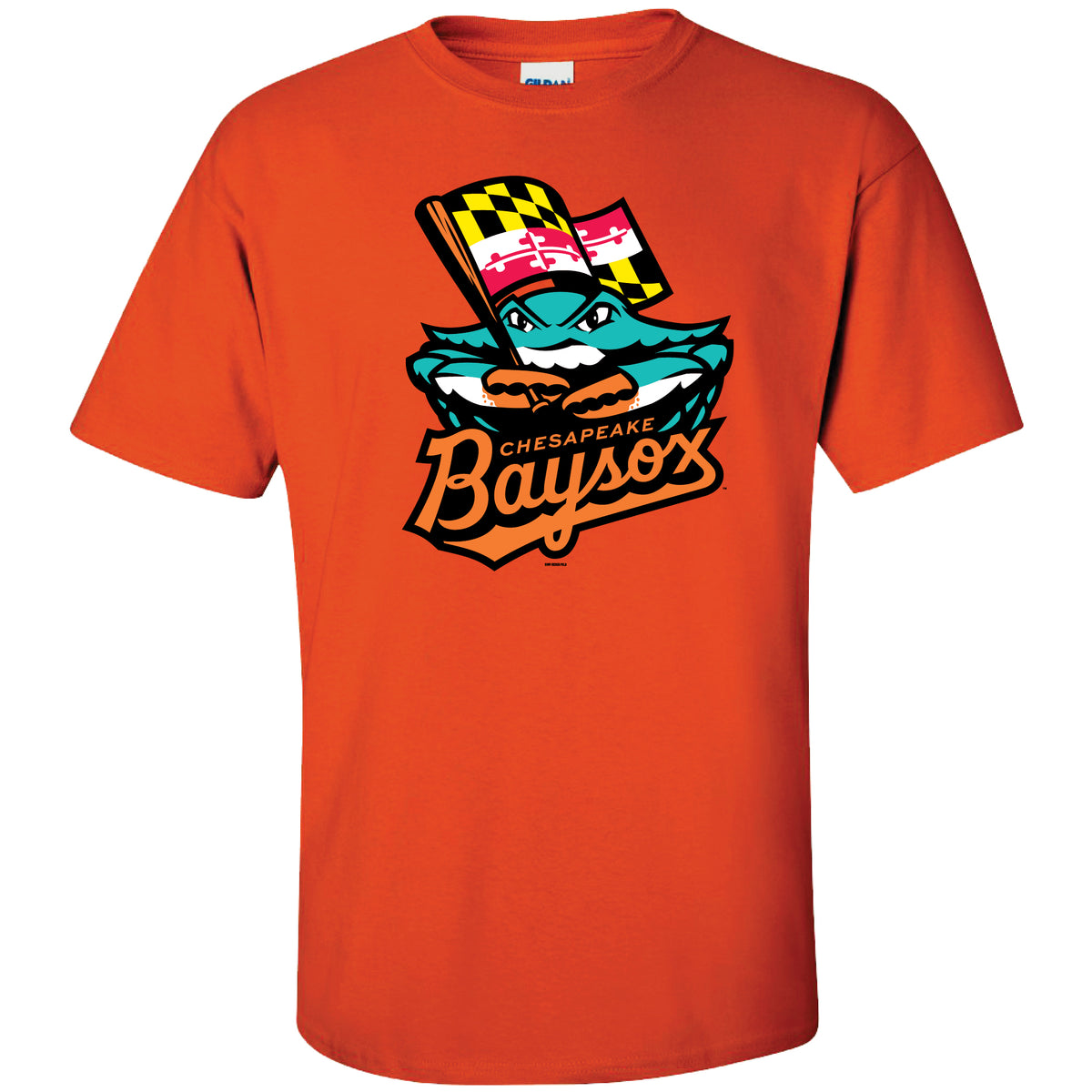 Chesapeake Baysox ADULT Primary Logo ORANGE T-shirt – Chesapeake