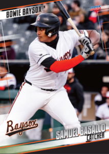 2024 Baysox Baseball Cards Trading Cards Full Team Set