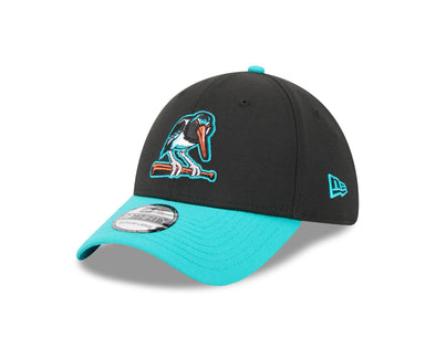 Chesapeake Baysox Oystercatchers New Era BLACK 39Thirty FLEX Cap