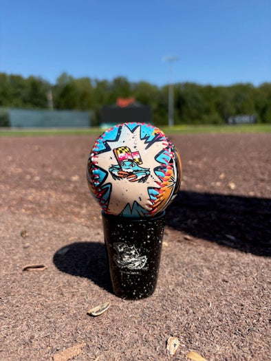 Chesapeake Baysox BASEBALL Comic