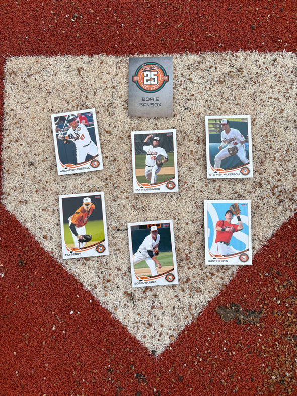 Chesapeake Baysox 2017 UPDATE Set