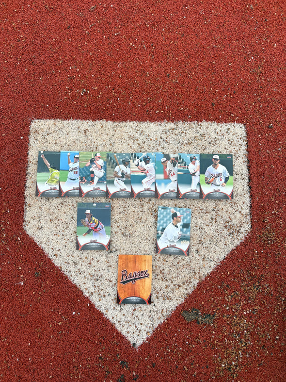 Chesapeake Baysox 2016 UPDATE Set