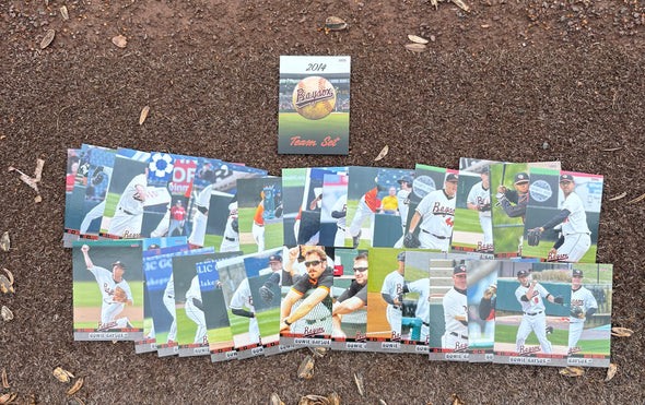 Chesapeake Baysox 2014 FULL Team Set