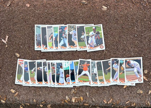 Chesapeake Baysox 2017 FULL Team Set