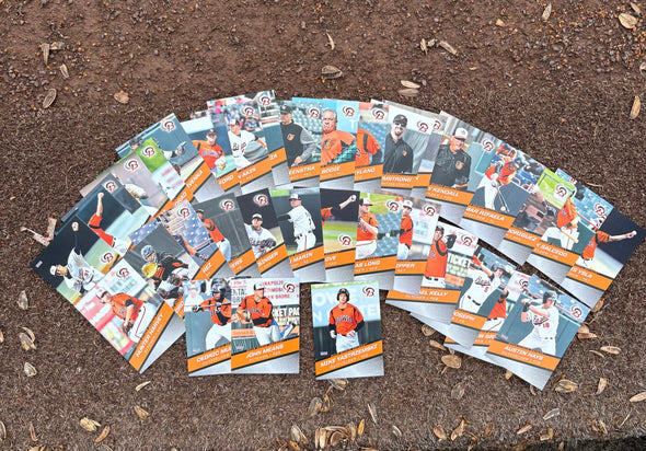 Chesapeake Baysox 2018 FULL Team Set