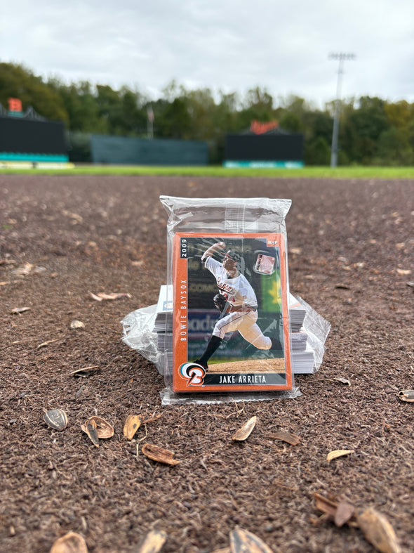 Chesapeake Baysox 2009 FULL Team Set