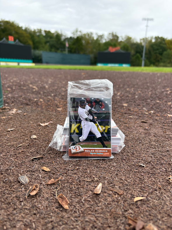 Chesapeake Baysox 2007 FULL Team Set