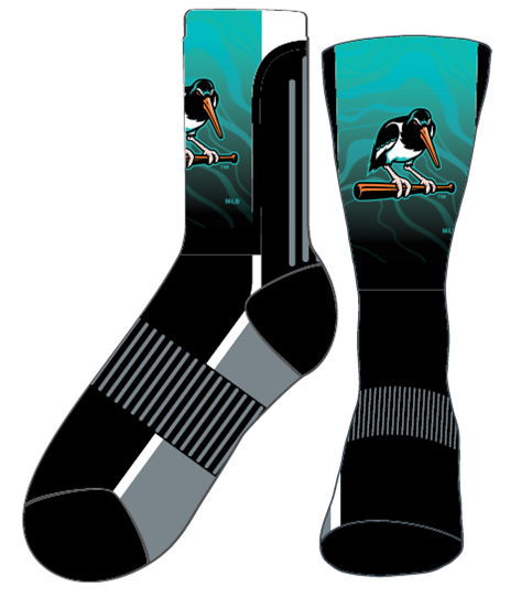 Chesapeake Baysox SOCKS Oystercatcher